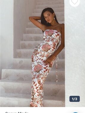 NWT Sonya Moda Dima Dress in Paisley rose print